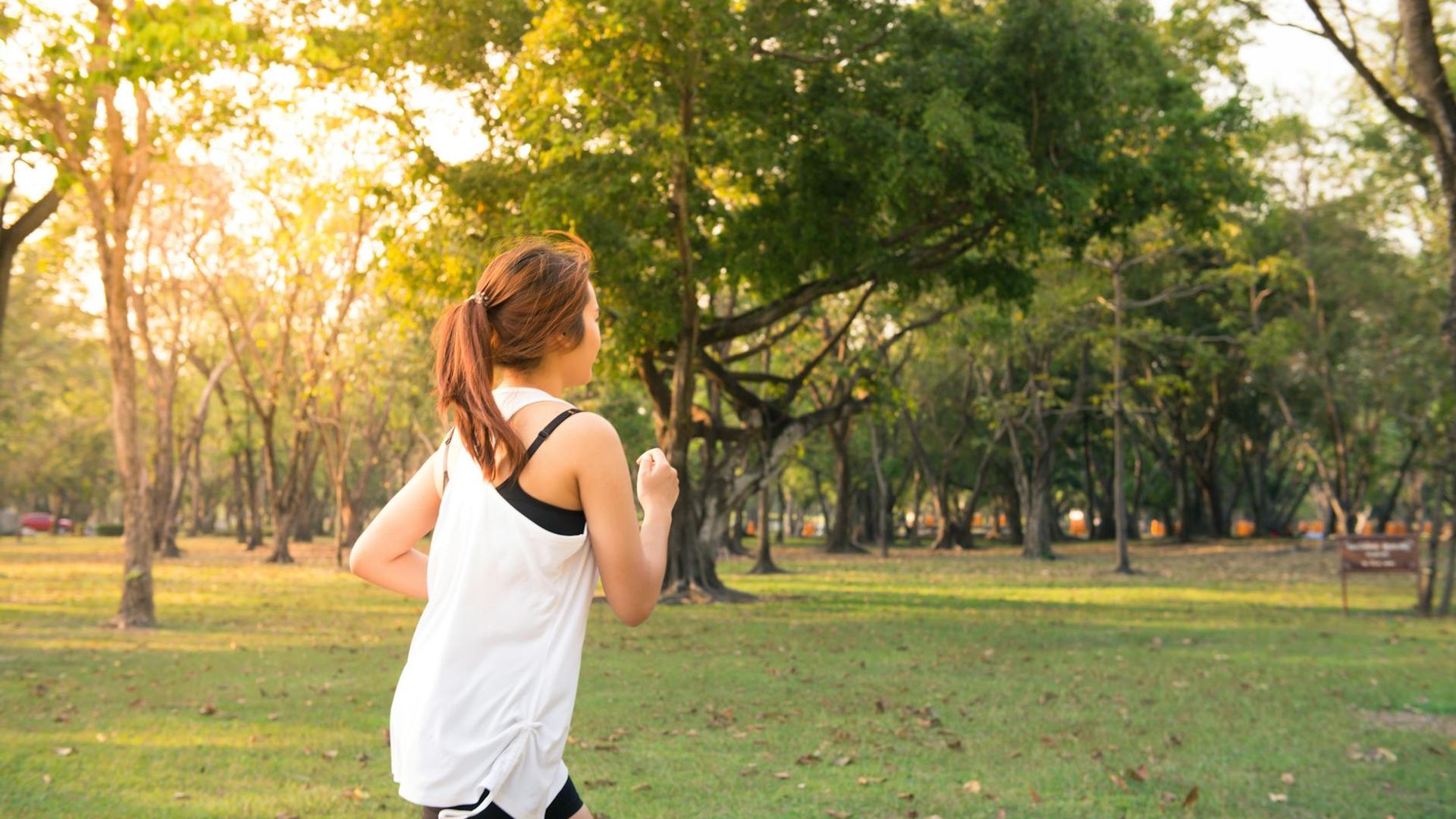 Person running at sunrise in a foggy park landscape.